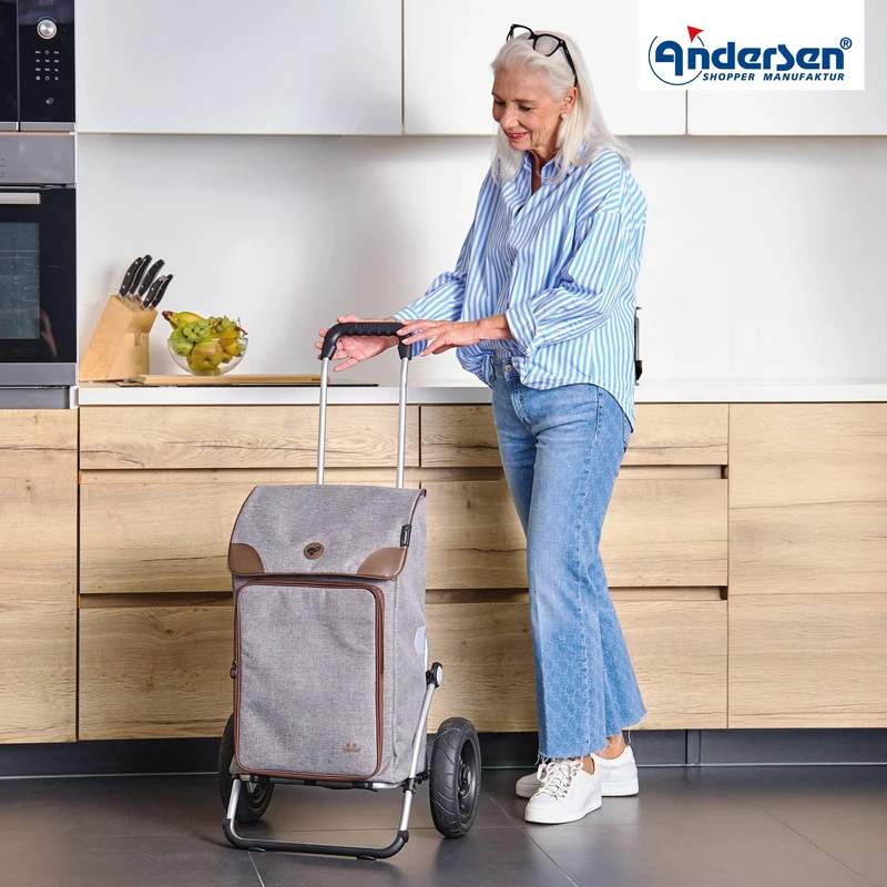 Royal Shopper Holk, Luft-Kugellagerrad 25 cm - Grau