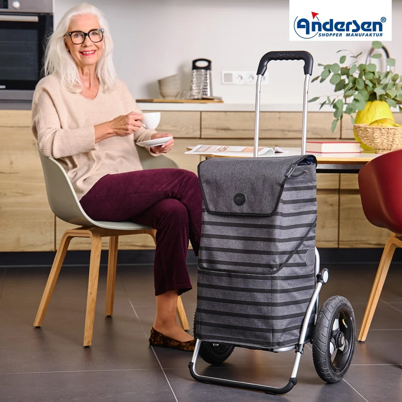 Royal Shopper Jelke, Luft-Kugellagerrad 29 cm - Anthrazit