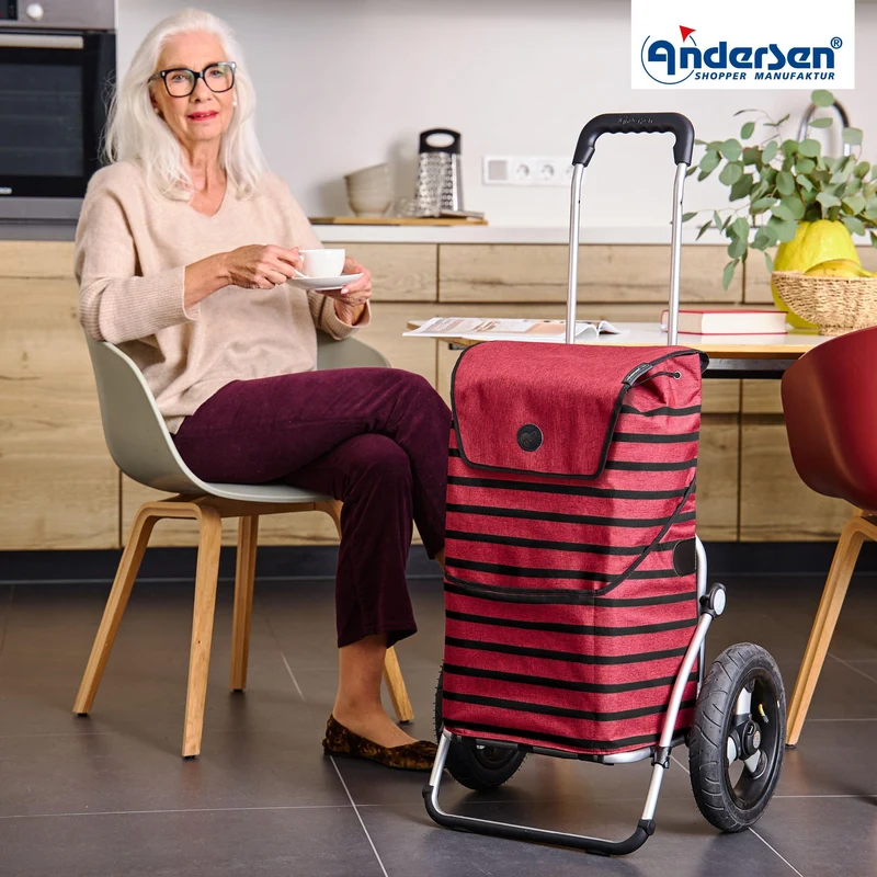 Royal Shopper Jelke, Luft-Kugellagerrad 29 cm - Bordeaux
