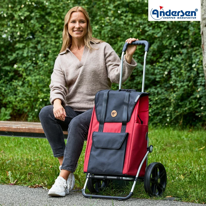 Royal Shopper Senta 2.0, Leichtlaufrad 25 cm - Rot