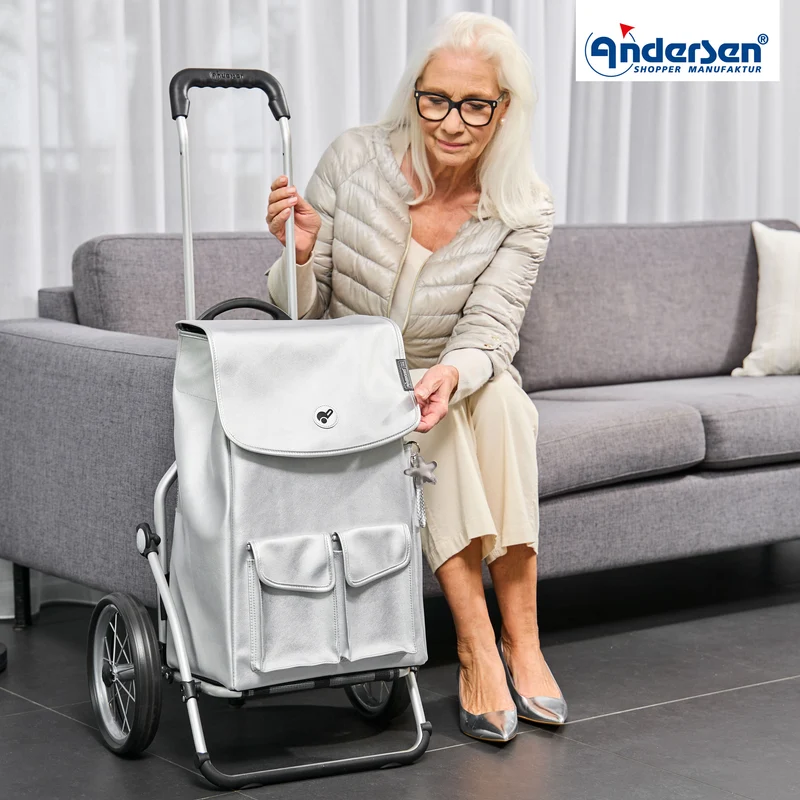 Royal Shopper Abbo, Metallspeichenrad 25 cm - Silber