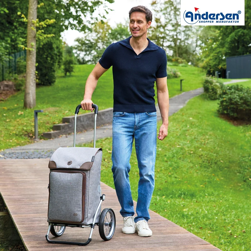 Royal Shopper Holk, Metallspeichenrad 25 cm - Grau