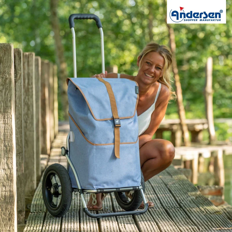 Royal Shopper Auke, Luft-Kugellagerrad 29 cm - Flieder