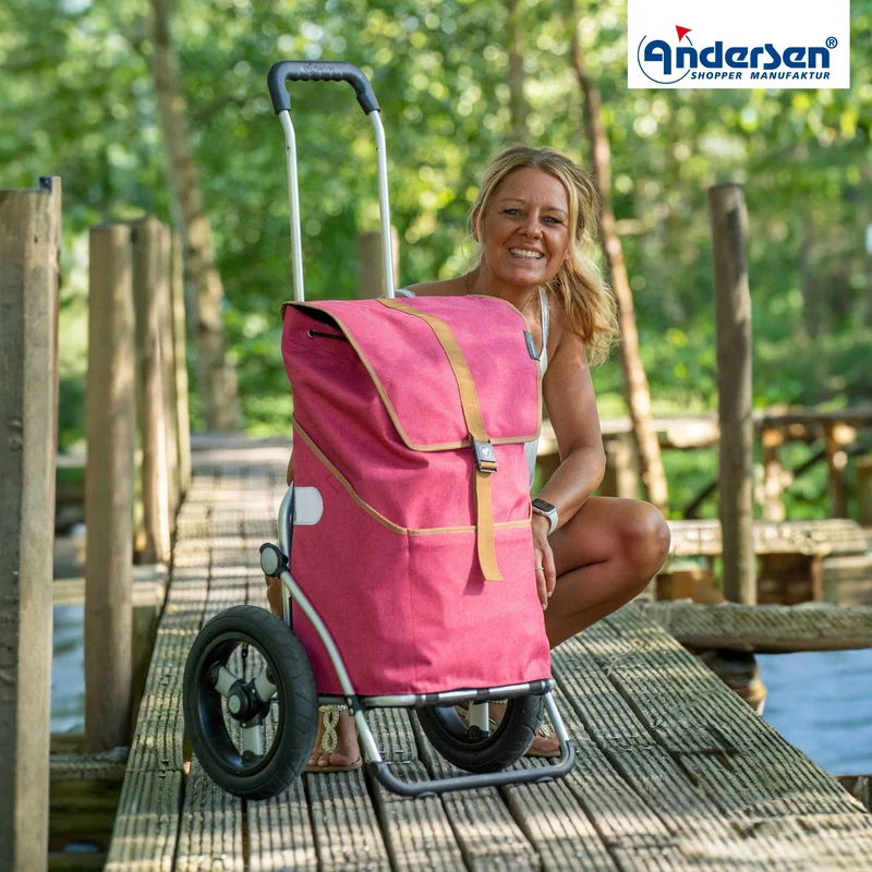 Royal Shopper Auke, Luft-Kugellagerrad 29 cm - Rubin