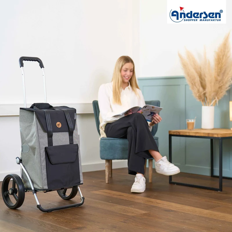 Royal Shopper Senta 2.0, Leichtlaufrad 25 cm - Grau