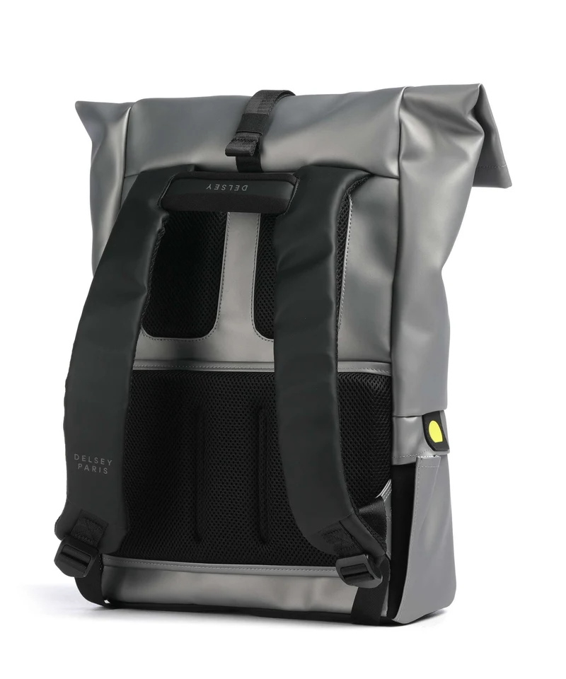 Delsey Paris Turenne Soft Rolltop Rucksack silber